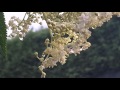 Long Ago (Michael Hoppe / Tim Wheater / Michael Tillmann)