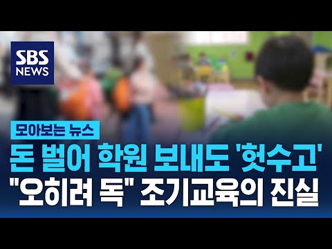 돈 벌어 학원 보내도 '헛수고'…"오히려 독" 조기교육의 진실 / SBS / 모아보는 뉴스