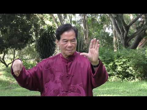 Mantak Chia Tai Chi Chi Kung Practice