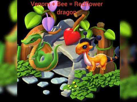 How to breed redflower dragon|| Dragon of the week || Dragon Mania legends||