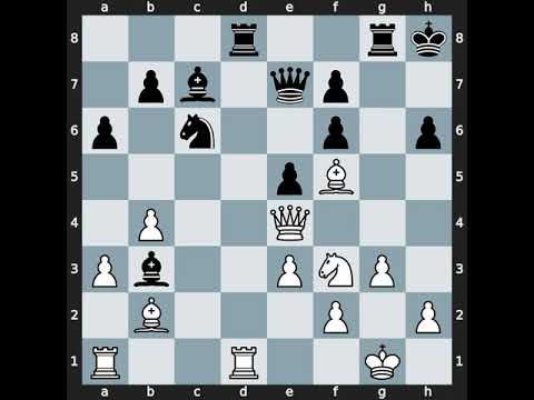 Evgeny A Levin(2465) vs Daniil Lintchevski(2553) | Event: Czech Open G Rapid | 2011.07.21