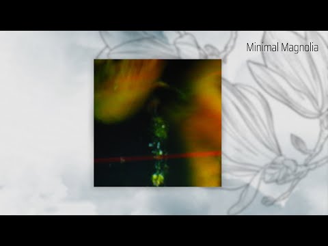 Baltazar – ymsu (Edit)