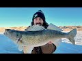 Video Thumbnail for Can't Catch Walleye's? TRY This Method! Underwater Footage!