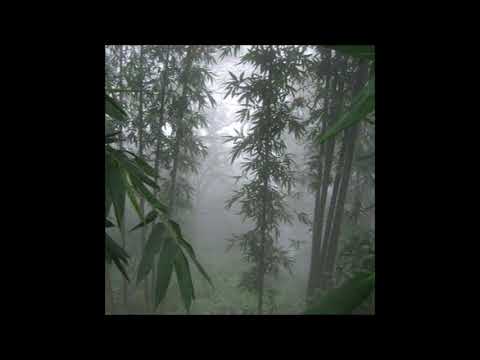 07. sincerityisdead - fade