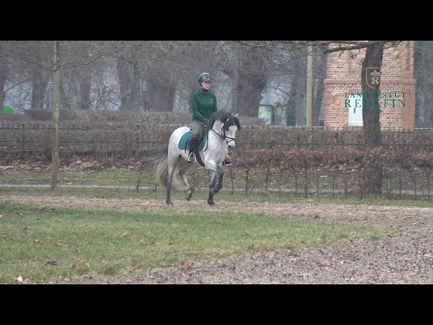 Django v. Del Piero - Fernet, DR, * 2019