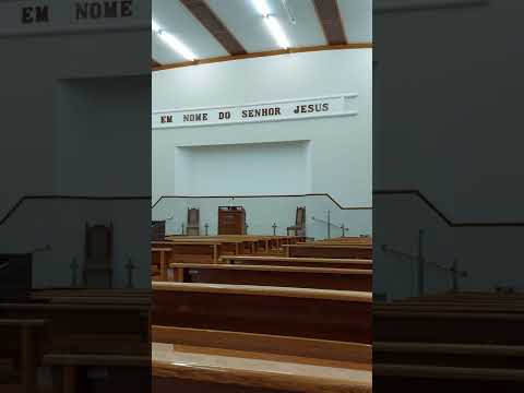 V. C. - M.7 órgão Tokai T1