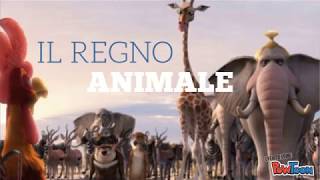 IL REGNO ANIMALE