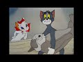 Tom And Jerry Solid Serenade
