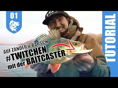 BAITCASTER 1x1: Twitchen auf XL-Barsche