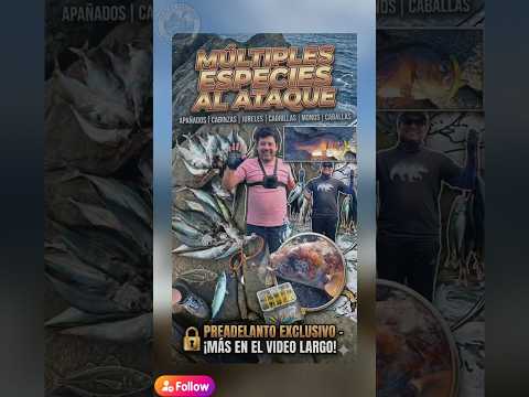 ¿Explotó el pique Atacama? Cabrillas de 2kg y Jureles. (PROMO Cap 2) 🎣🌊 #atacama#pescachile #caldera