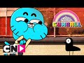 De Wonderlijke Wereld van Gumball | Tovertalent | Cartoon Network