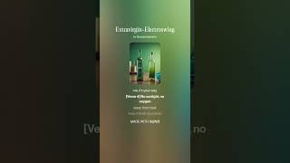 ExtraVirgin Electroswing
