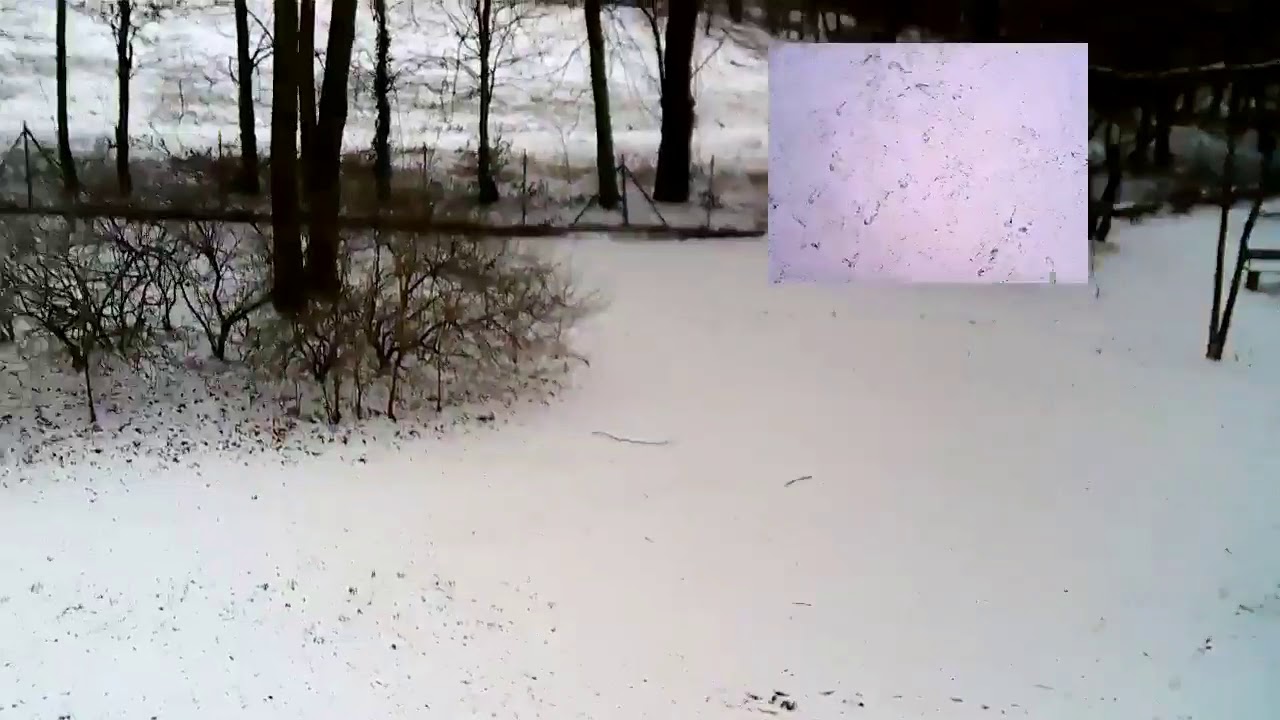 Youtube Video Preview