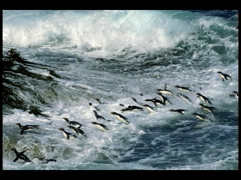 Aurosonic feat Marcie - Ocean Wave (Sobersoul Remix) DnB version