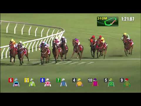 8/9/2021 (16) Turin Redstar - H Bentley