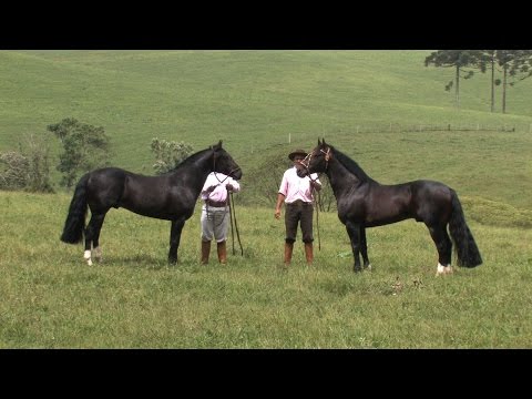Projeto 2014 e Jornada 2015