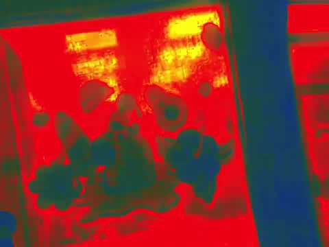 Psychological Lullaby (Trailer)