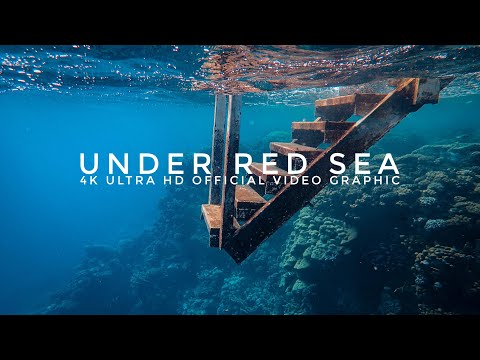 Under Red Sea 4K - Stunning Underwater World - Relaxation Video with Original Sound  - episode 02