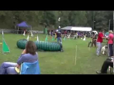 Agility in Homburg-Kirrberg am 22.09.2013 Stefan mit Scotty A1 large