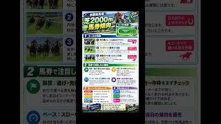 京都競馬場芝2000m データ分析　馬券傾向 #horse #競馬予想 #中央競馬予想 #競馬 #馬券