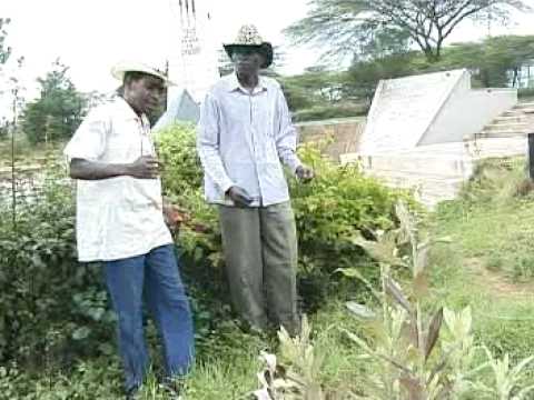 Fadhili Williams.  Ewe malaika