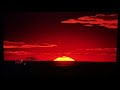 The Lion King 3 Timon And Pummba Interrupt 4 In Italian