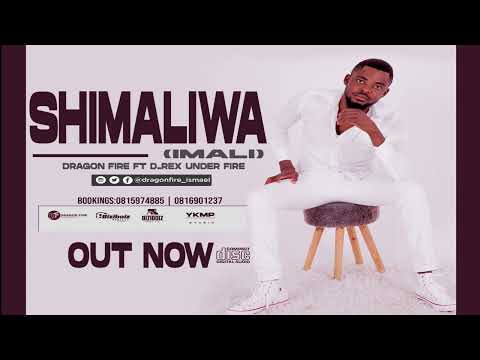 shimaliwa (imali) Dragon ft d-rex under fire