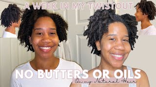 Natural Hair Detox: Week in My Twist Out With No Butters or Oils | Gabrielle Ishell