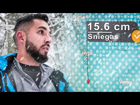 Gyvenu Miške Per Sniego 