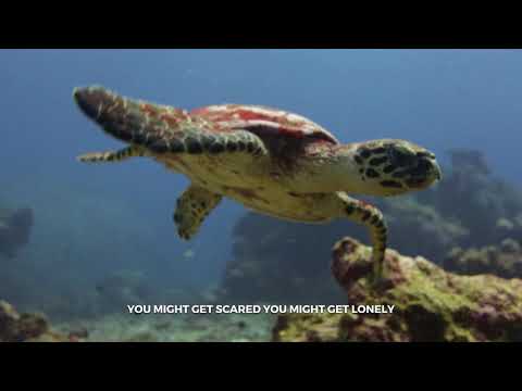 Stay The Course [Official Lyric Video] | IRATION | Self-Titled (2018)