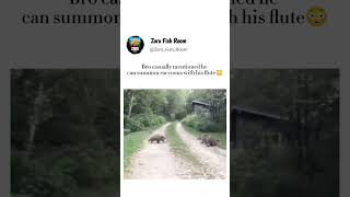 Bro casually mentioned he can summon raccoons with his flute😳