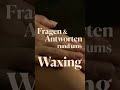 Das WAX IN THE CITY WAXIKON Teil 3 Brazilian Waxing