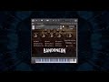 Video 1: The Bandoneon - Contextual Demo