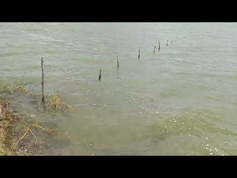 Lagoa do distrito de Pe leve Limoeiro de Anadia Alagoas