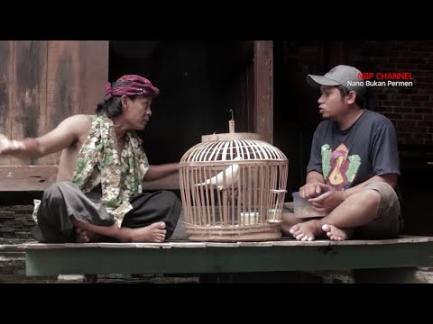 cak-silo-mau-beli-rajawali-brama-kumbara