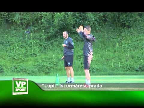 “Lupii” își urmăresc prada