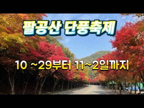 🌈 팔봉이🌈tv  팔공산 단풍축제 10~29~11~2일까지