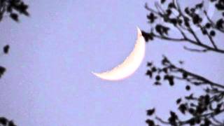 Moongazer: A Tribute to our Moon