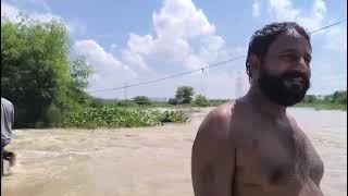 #yamuna #flood #rescue #viralvideo #funny #ganga #vlog #satluj #farming #kisaan