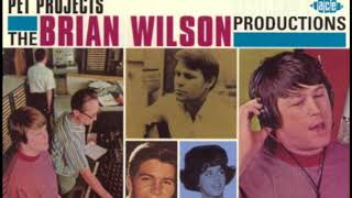 Guess I&#39;m Dumb Brian Wilson COVER