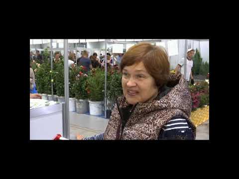 Репортаж с Кубанской Ярмарки от телеканала Планета-Агро
