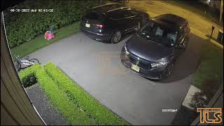 Watch thieves going through vehicles in Lakewood