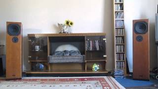 Rega Naos speakers playing sara by Barb Jungr
