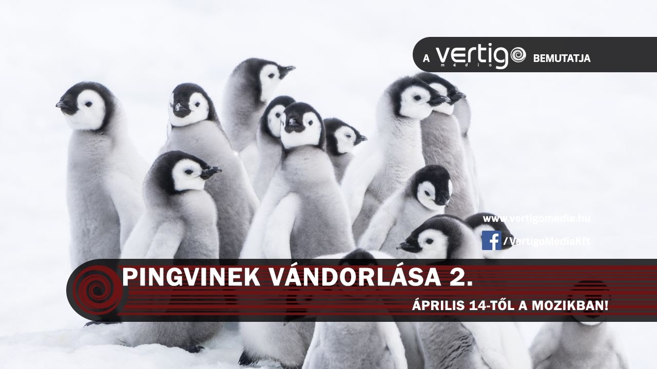 Pingvinek vándorlása 2. (korhatár nélkül) szinkronos előzetes