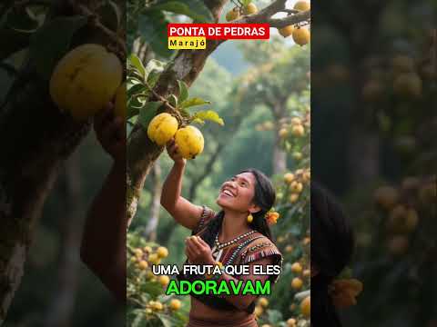 PONTA DE PEDRAS-Marajó PÁ