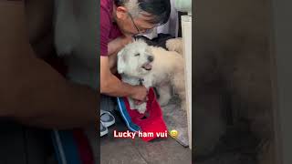 #doglove