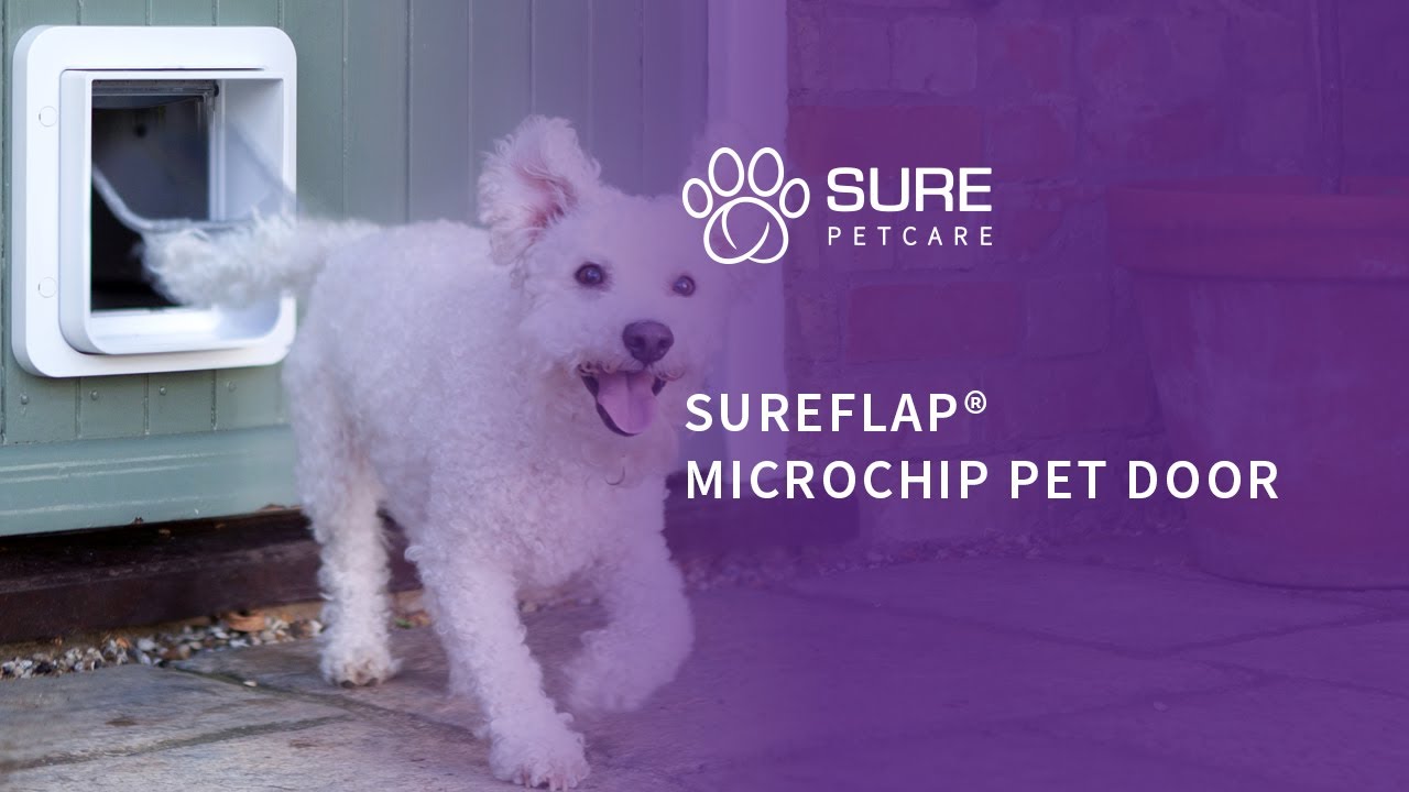Photo inspiration: Fresh Look at Microchip Pet Door
