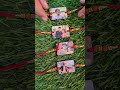 Photo Rakhis Photorakhis Rakhis Rakhi Uniquerakhi Rakshabandhan Rakhiya