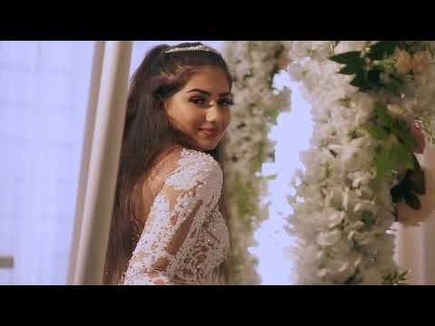 RENATO ALIMANOVIC - KRALJICE (COVER )