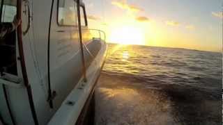 preview picture of video 'Marlin fishing - Struisbaai 2013'